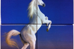 Photo-Mural-2