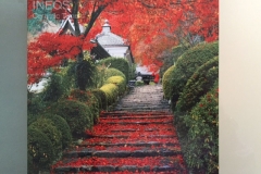 Asian-Autumn
