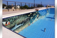 Pool1