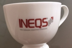 Ineqs-logo